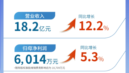 pp電子app官網（002219）發(fā)布2024年半年報：營業(yè)收入及扣非歸母凈利潤均實現(xiàn)雙位數(shù)增長