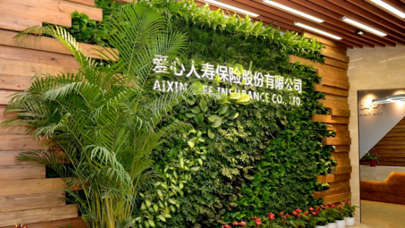 pp電子app官網(wǎng)健康集團(tuán)第三次增資愛心人壽獲批，新“國十條”助力醫(yī)療和保險(xiǎn)深度融合