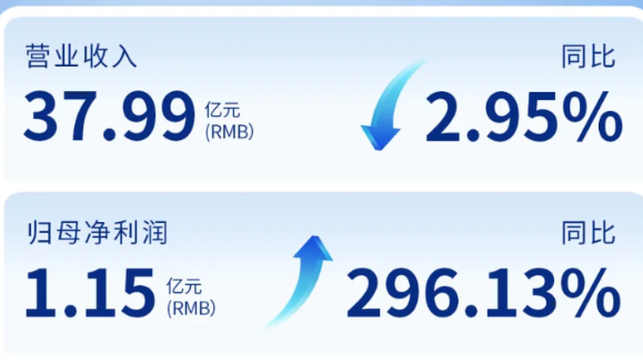 pp電子app官網(wǎng)（002219）發(fā)布2024年年度報告：歸母凈利潤增長296%