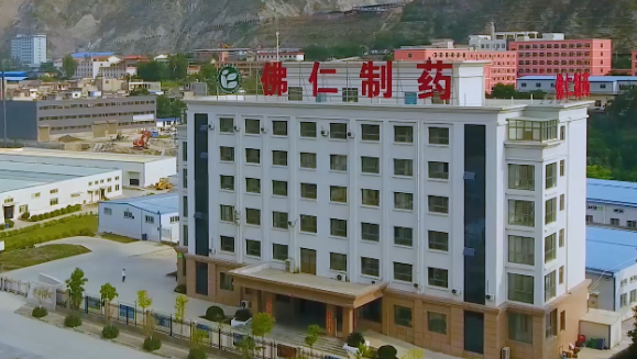 甘肅省副省長葛建團蒞臨pp電子app官網(wǎng)（002219）旗下佛仁制藥考察調(diào)研